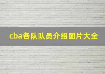 cba各队队员介绍图片大全