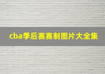 cba季后赛赛制图片大全集