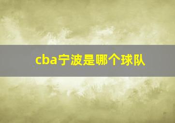 cba宁波是哪个球队