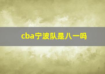 cba宁波队是八一吗