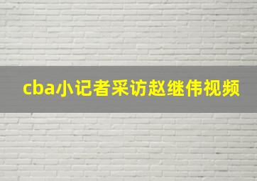 cba小记者采访赵继伟视频