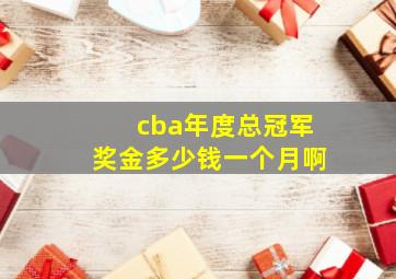 cba年度总冠军奖金多少钱一个月啊