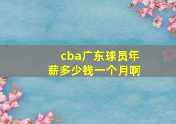 cba广东球员年薪多少钱一个月啊