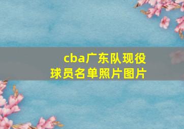 cba广东队现役球员名单照片图片