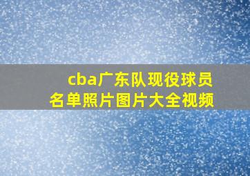 cba广东队现役球员名单照片图片大全视频