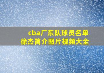 cba广东队球员名单徐杰简介图片视频大全