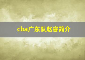 cba广东队赵睿简介