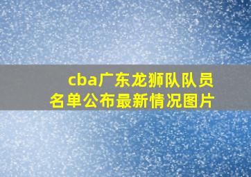 cba广东龙狮队队员名单公布最新情况图片