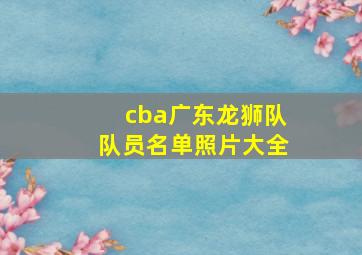 cba广东龙狮队队员名单照片大全