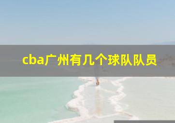 cba广州有几个球队队员