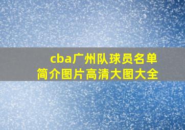 cba广州队球员名单简介图片高清大图大全