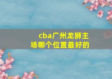 cba广州龙狮主场哪个位置最好的