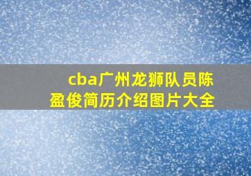 cba广州龙狮队员陈盈俊简历介绍图片大全