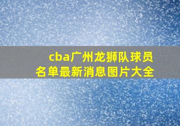 cba广州龙狮队球员名单最新消息图片大全