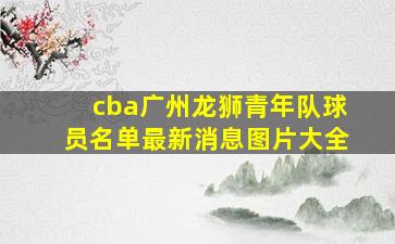 cba广州龙狮青年队球员名单最新消息图片大全