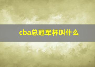 cba总冠军杯叫什么