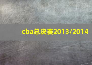 cba总决赛2013/2014