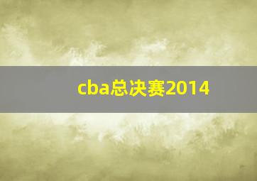 cba总决赛2014