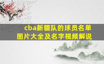 cba新疆队的球员名单图片大全及名字视频解说