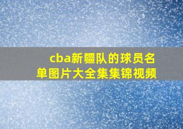 cba新疆队的球员名单图片大全集集锦视频