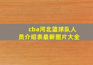 cba河北篮球队人员介绍表最新图片大全