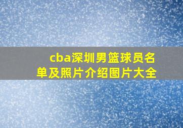 cba深圳男篮球员名单及照片介绍图片大全