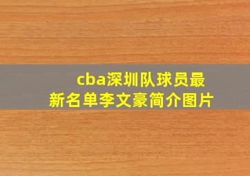 cba深圳队球员最新名单李文豪简介图片