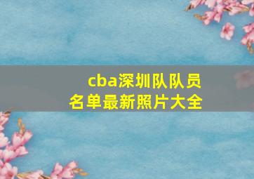 cba深圳队队员名单最新照片大全