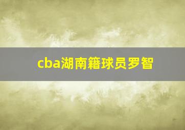 cba湖南籍球员罗智