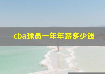 cba球员一年年薪多少钱