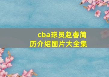 cba球员赵睿简历介绍图片大全集