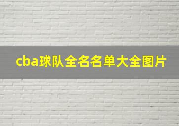 cba球队全名名单大全图片