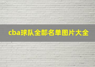 cba球队全部名单图片大全