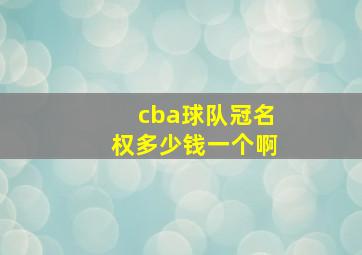 cba球队冠名权多少钱一个啊