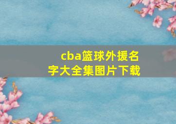 cba篮球外援名字大全集图片下载