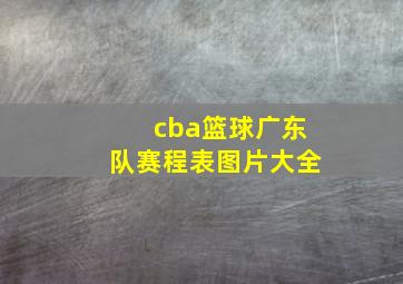 cba篮球广东队赛程表图片大全