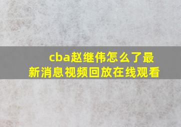 cba赵继伟怎么了最新消息视频回放在线观看