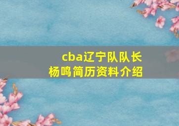 cba辽宁队队长杨鸣简历资料介绍