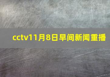 cctv11月8日早间新闻重播