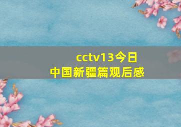 cctv13今日中国新疆篇观后感