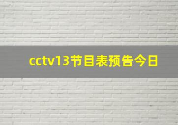 cctv13节目表预告今日