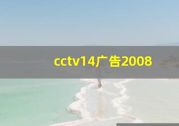 cctv14广告2008