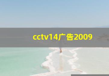 cctv14广告2009