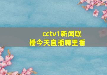 cctv1新闻联播今天直播哪里看