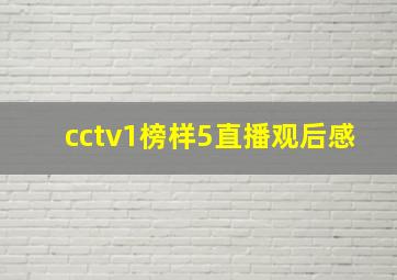 cctv1榜样5直播观后感