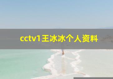 cctv1王冰冰个人资料