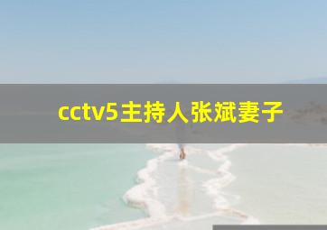 cctv5主持人张斌妻子