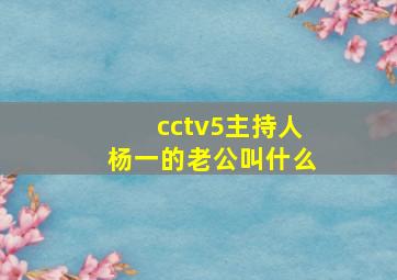 cctv5主持人杨一的老公叫什么