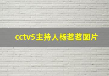 cctv5主持人杨茗茗图片