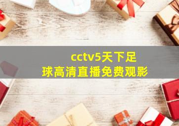 cctv5天下足球高清直播免费观影